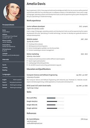 Free Example resume