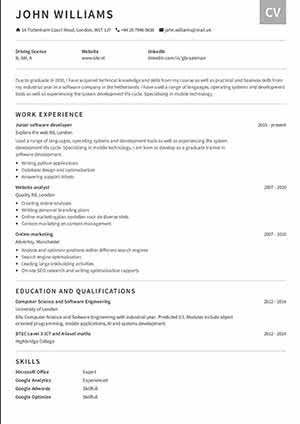 Free Example resume