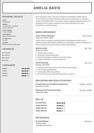 20+ Professional Resume Examples & Templates For Your Resume