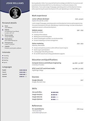 Free Example resume