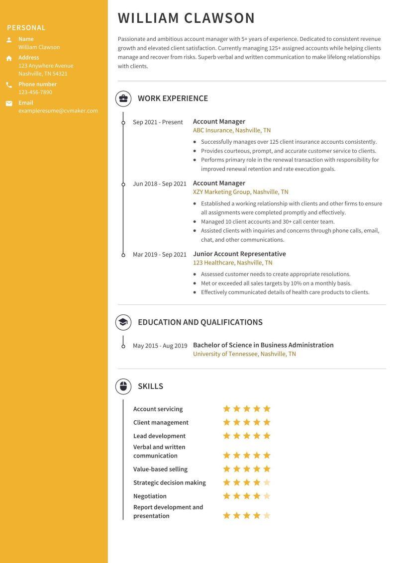 Account Manager Resume Example