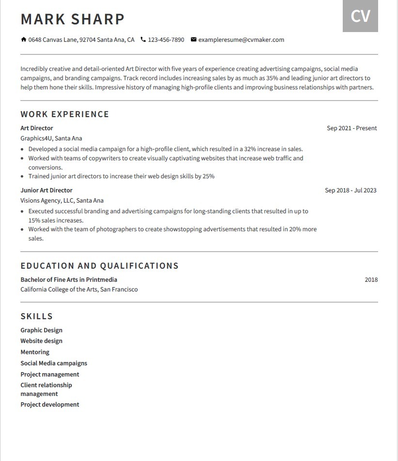 Art Director Resume Example