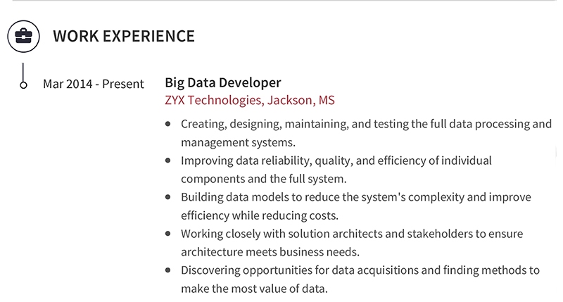 Big Data Professional Work Experience Example