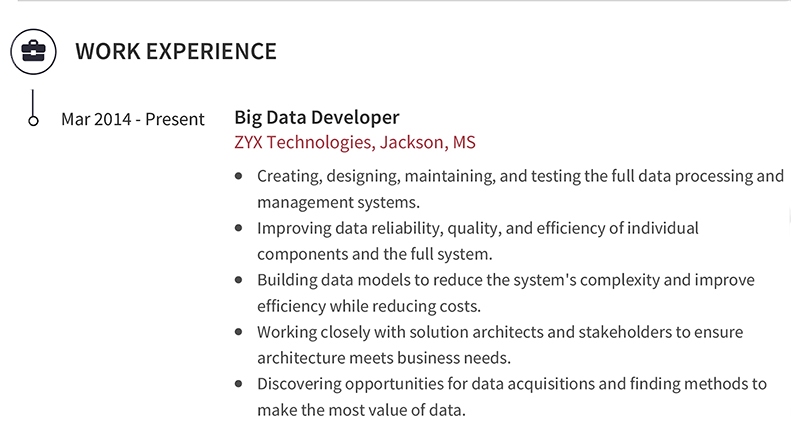 Big Data Professional Work Experience Example