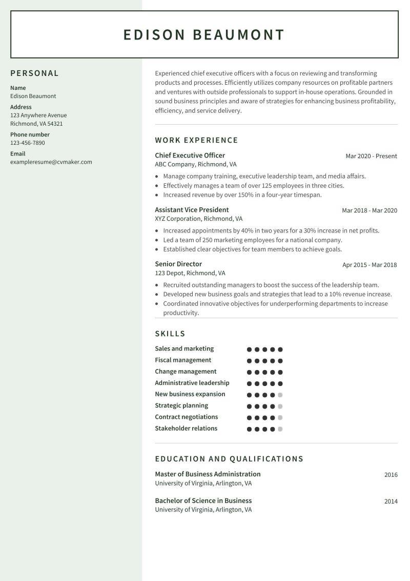 CEO Resume Example
