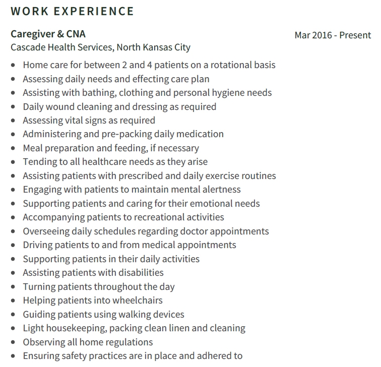 Caregiver Resume Professional Work Experience Example