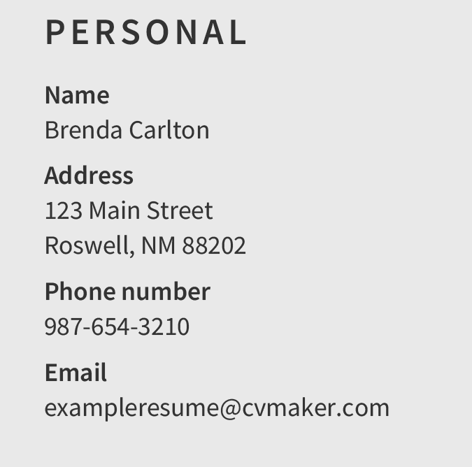 Computer Technician Contact Information Sample