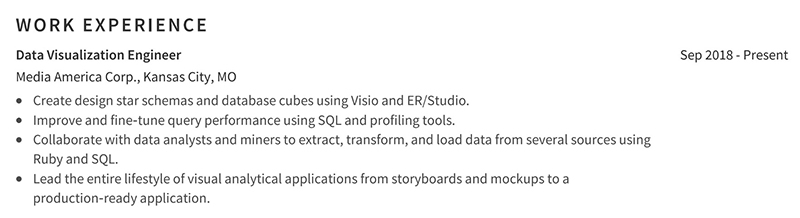 Data Visualization Professional Work Experience Example