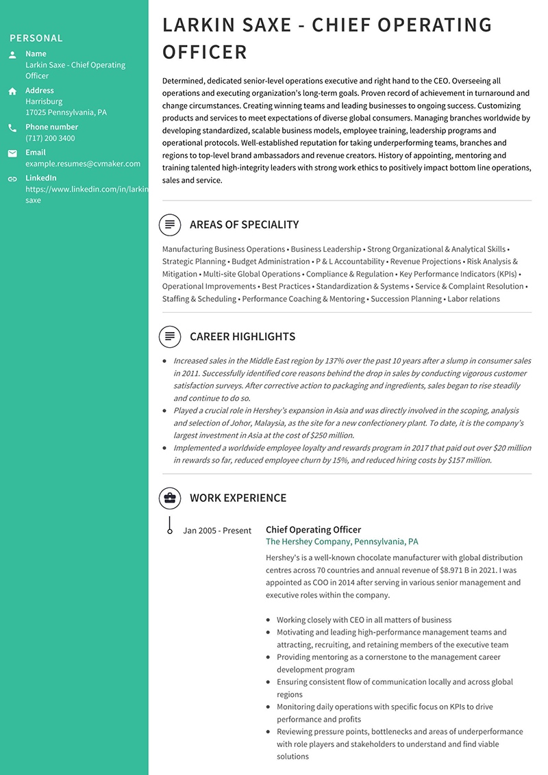 Resume Examples for Executives 3 Successful Executive Resumes Samples