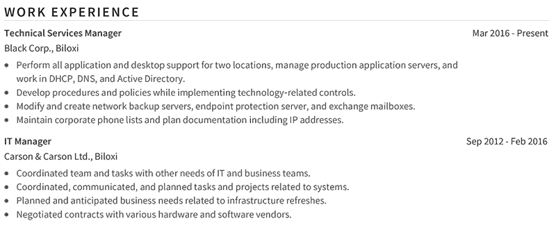 IT Manager Work Experience Example
