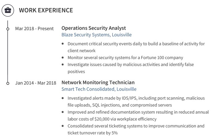 It Resume Work Experience Example