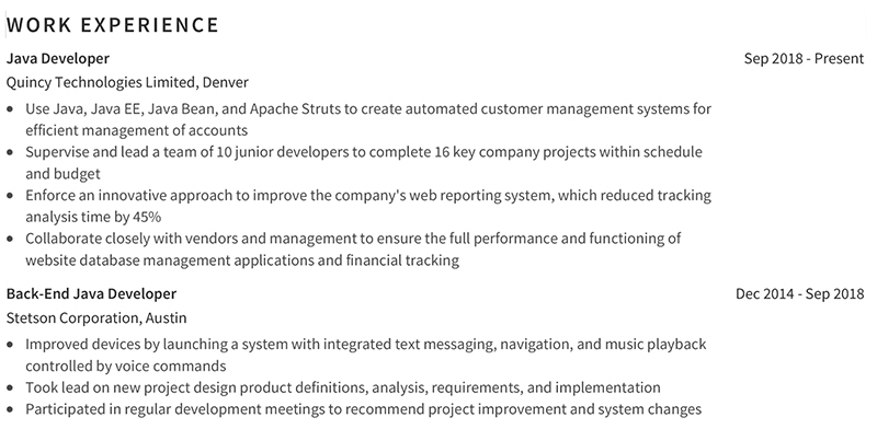 Java Developer Resume Work Experience Example