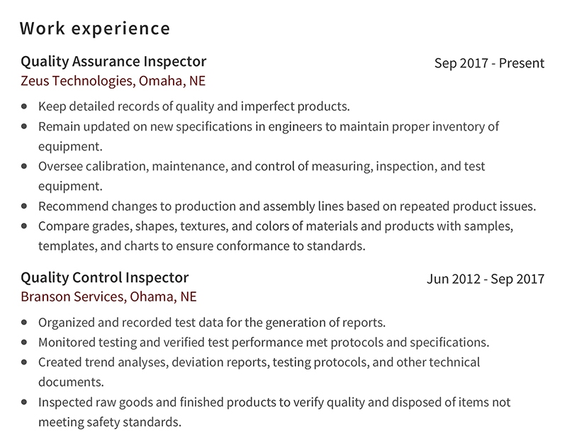Manual Testing Resume Professional Work Experience Example