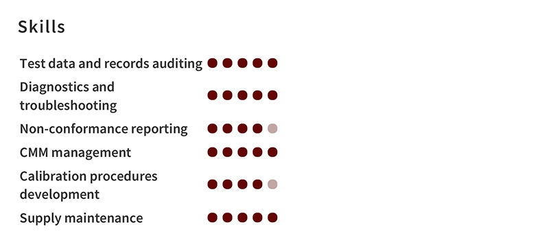 Manual Testing Resume Skills Example