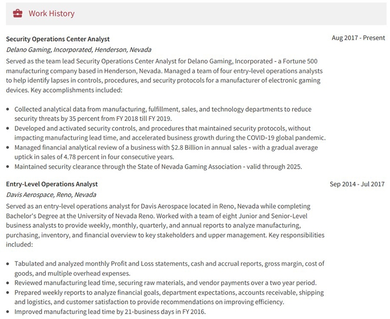 Operations Analyst Resume Work History Example