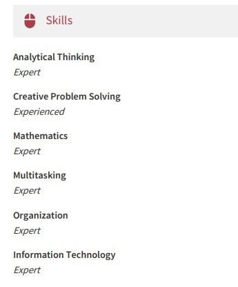 Operations Analyst Skills Example