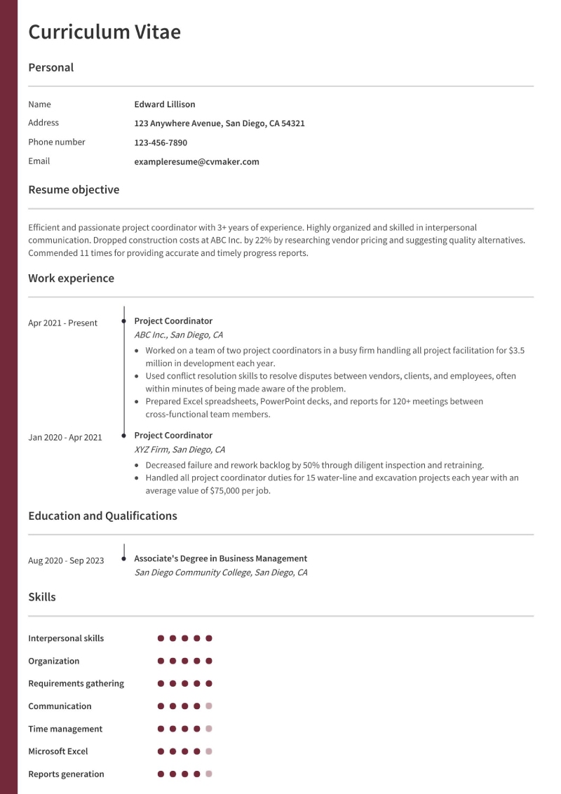 Project Coordinator Resume Example