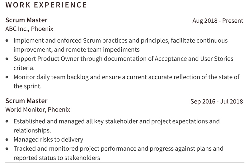 Scrum Master Resume Professional Work Experience Example