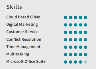 Virtual Assistant Resume Skills Example