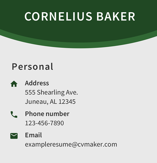 Web Developer Contact Information Example