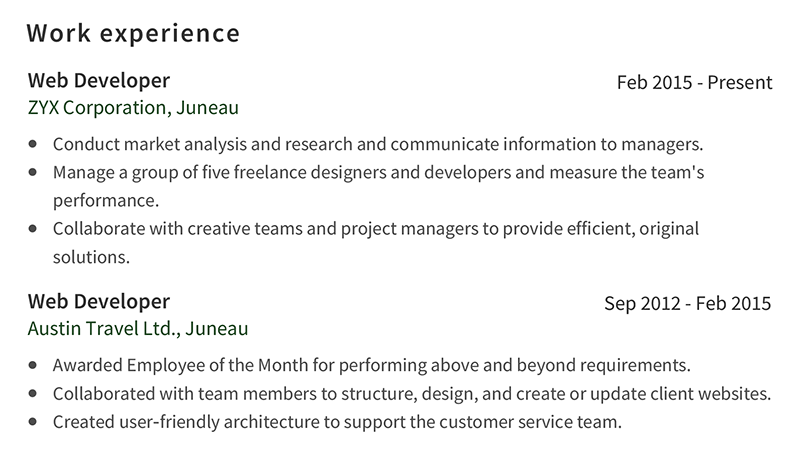 Web Developer Resume Professional Work Experience