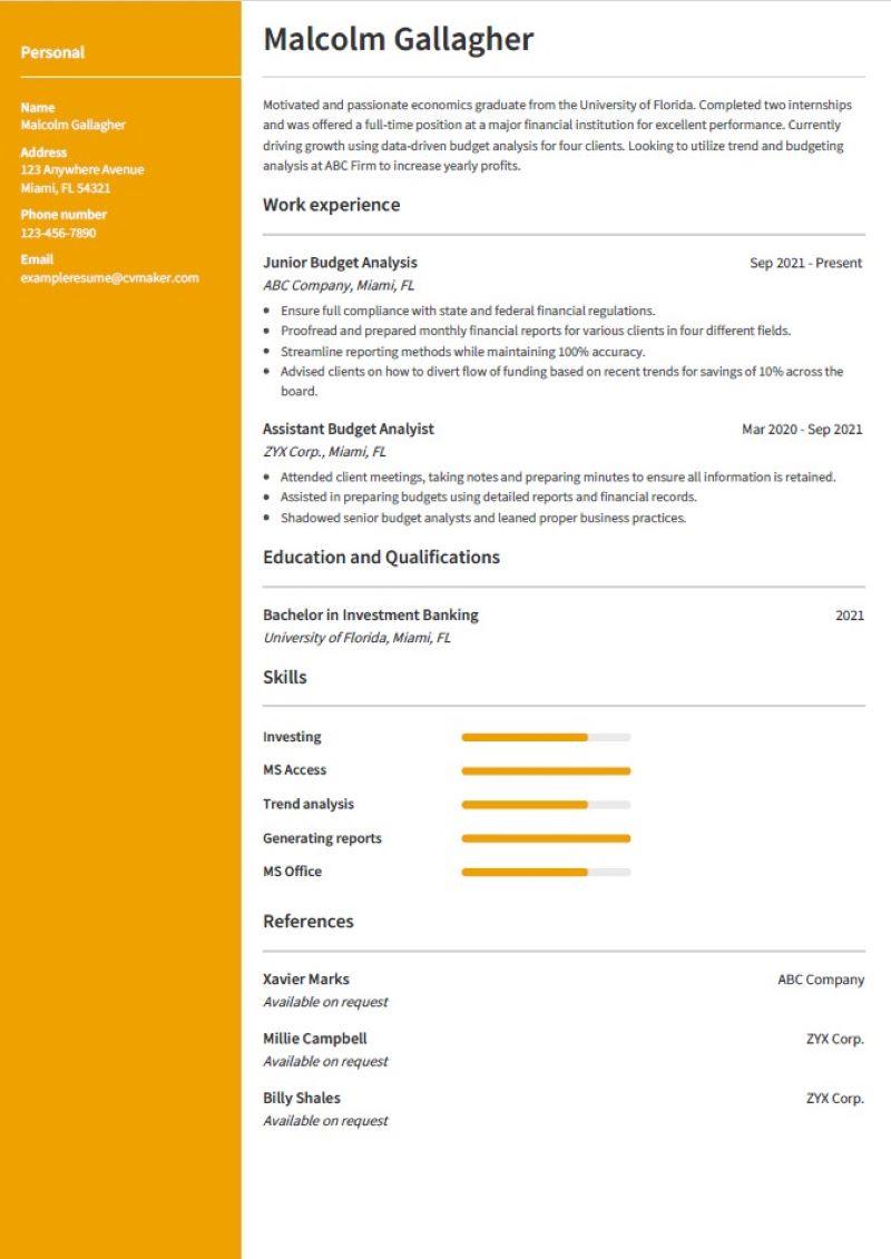 Budget Analyst Resume Sample Job - Budget Analyst Resume Example 