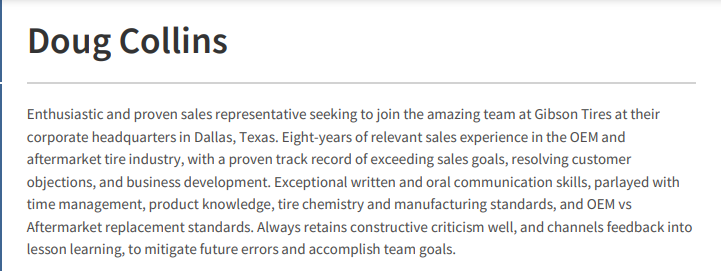 sales representative resume summary example